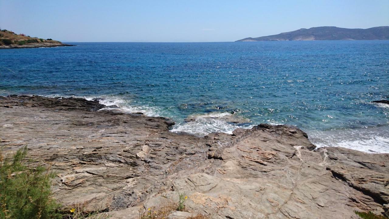 Villa Το Πετρινο Agia Marina Mikrolimanou Exterior foto